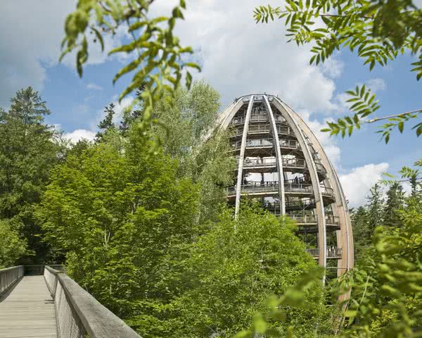 Baumwipfelpfad Baumwipfelpfad