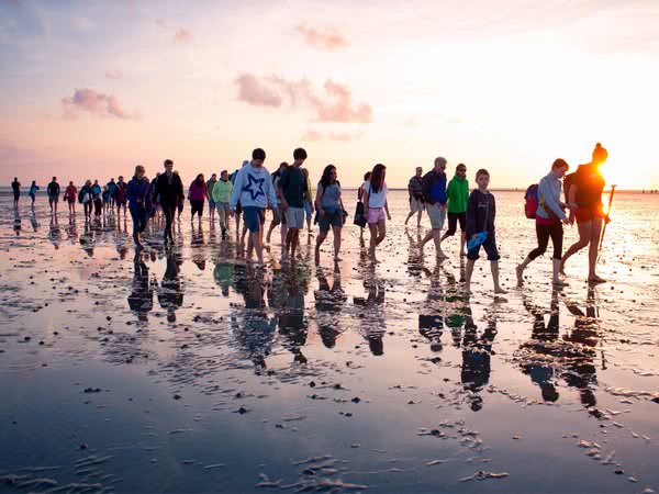 Wattwanderung ©Schutzstation Wattenmeer Wattwanderung
